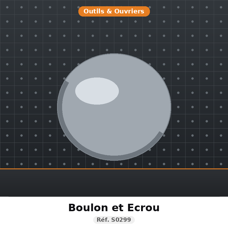 s0299 boulon et ecrou