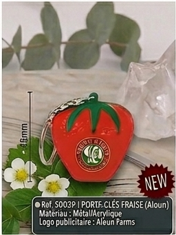 alimentation 2 07 porte cles fraise