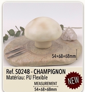 alimentation 3 07 champignon
