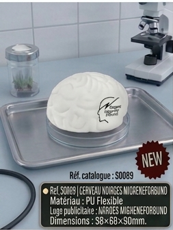 medical part 1 01 cerveau migreneforbund