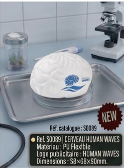 medical part 1 02 cerveau human waves