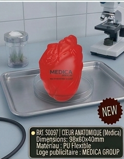 medical part 2 01 coeur anatomique