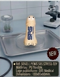 medical part 3 03 penis