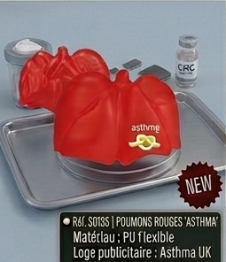 medical part 3 09 poumons rouges